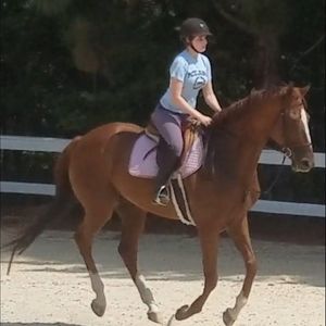 Meet your Posher, Carlyn